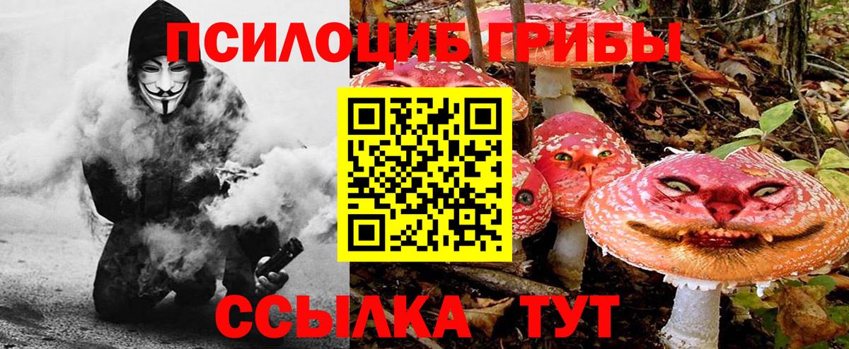 Галлюциногенные грибы GOLDEN TEACHER  Галлюциногенные грибы Cubensis  Вход с VPN  Лесной 