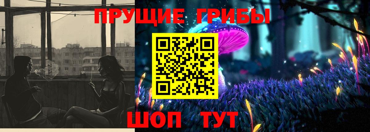 Галлюциногенные грибы Psilocybine cubensis Лесной